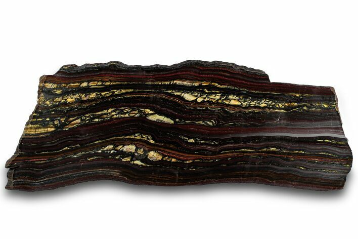 Polished Tiger Iron Stromatolite Slab - Billion Years #319478